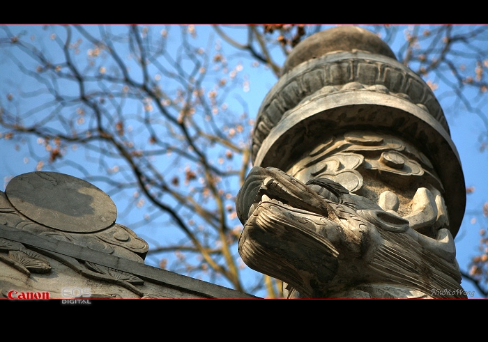 [ԭ��]����ˮ����ϰ��