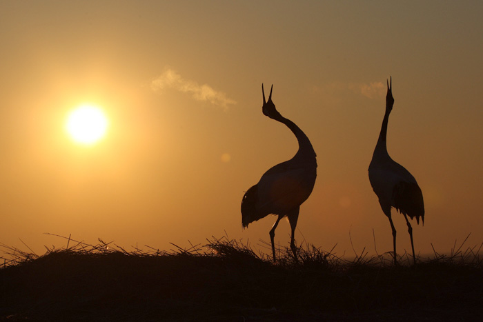 [ԭ��]�����黭