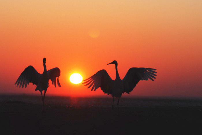 [ԭ��]�����黭