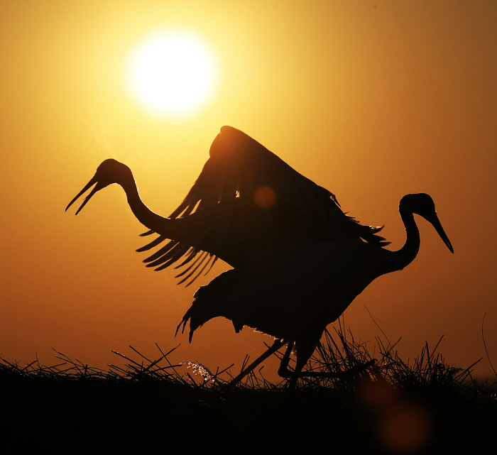 [ԭ��]�����黭