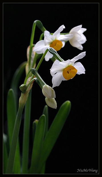 ����Ұݸ����꣡