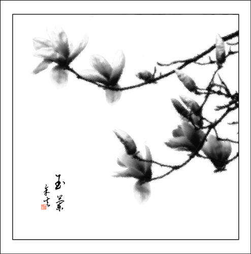 ��������