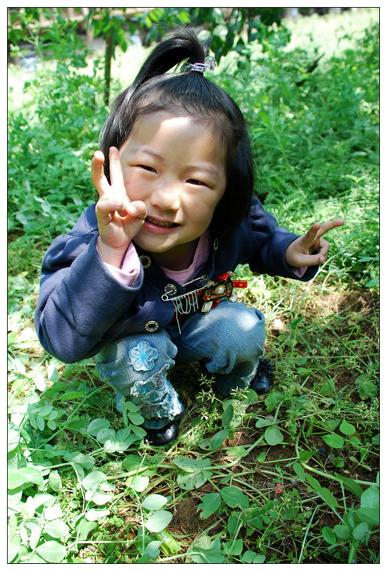 �ɰ���С����