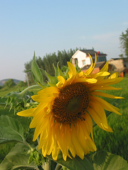 [ԭ��]�а��е�ʱ��