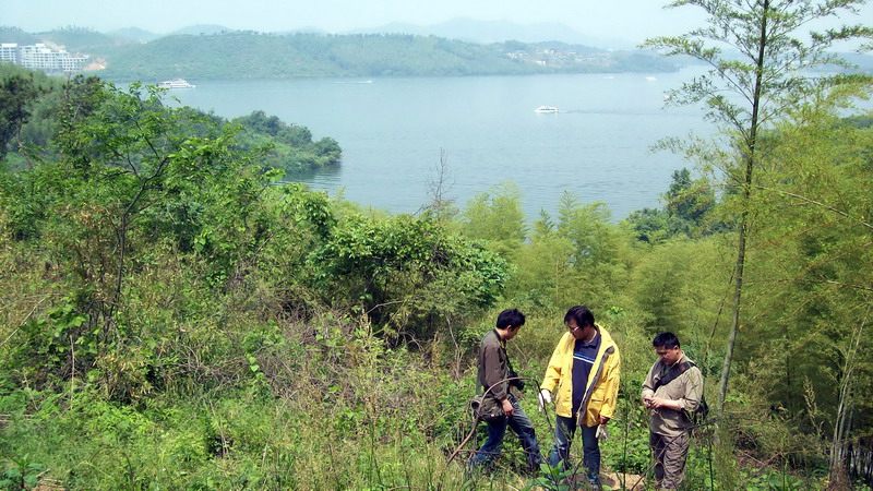 [ԭ��]���߱��ġ�����Ŀ��