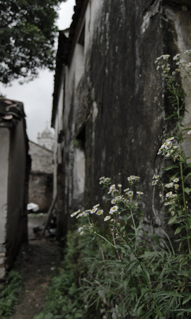 [��ͼ]���� ���