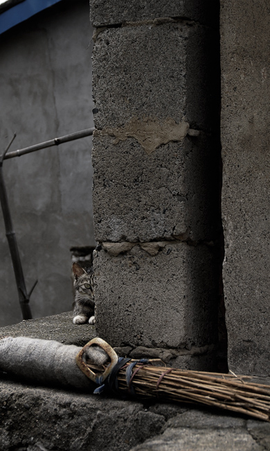 [��ͼ]���� ���