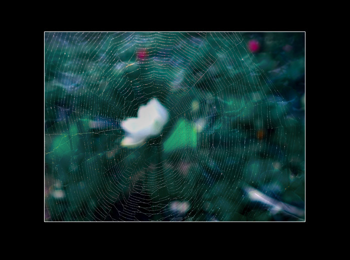 [ԭ��]���ܺɻ�