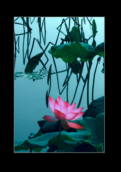 [ԭ��]���ܺɻ�