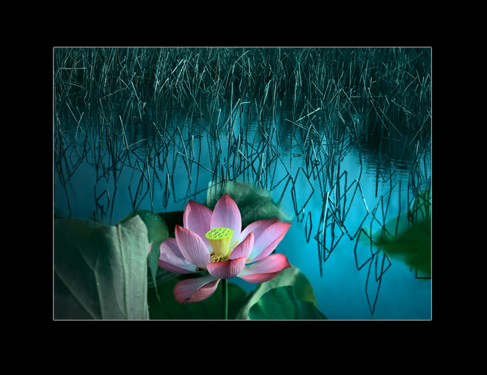 [ԭ��]���ܺɻ�