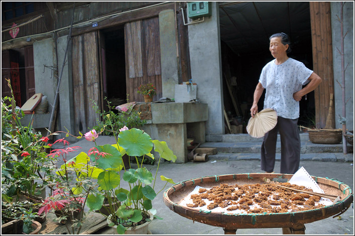 ߮���������μ�