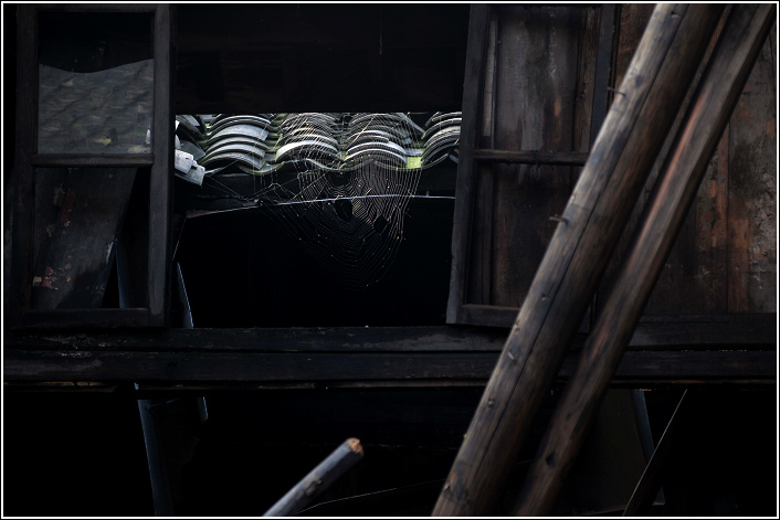 ߮���������μ�