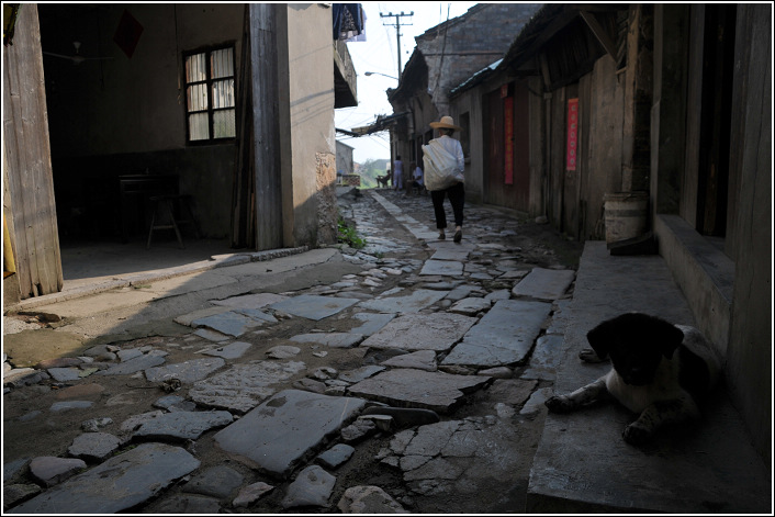 ߮���������μ�