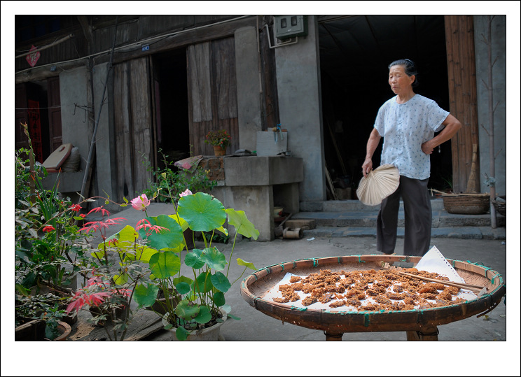 ߮���������μ�