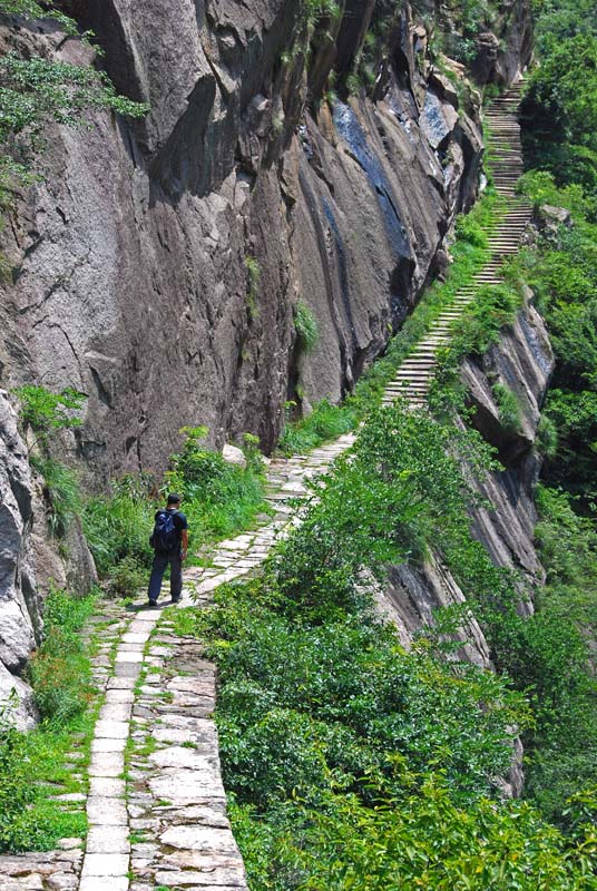 ͽ�����йŵ�