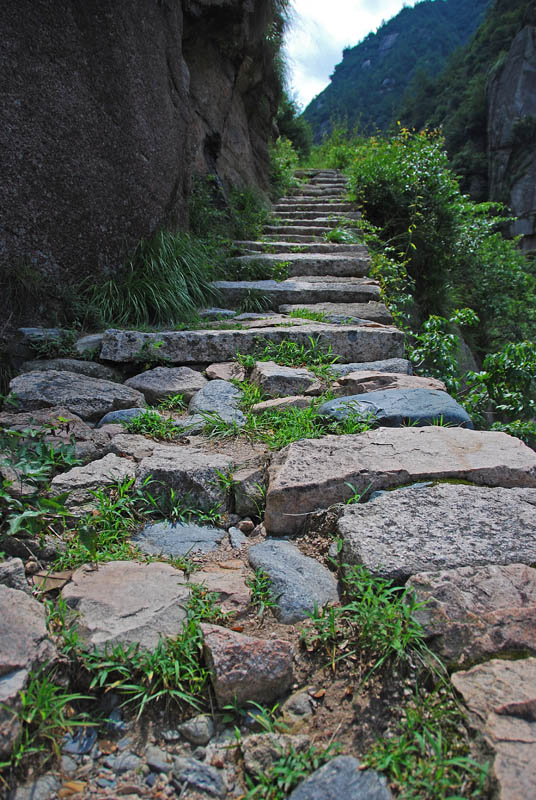 ͽ�����йŵ�