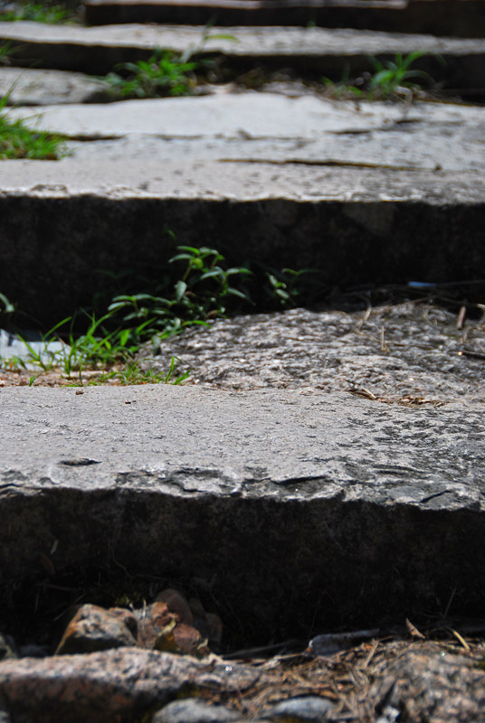 ͽ�����йŵ�