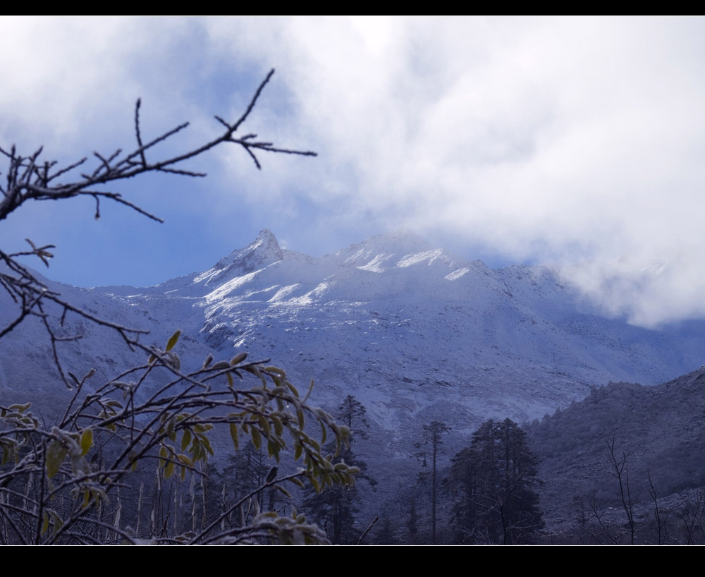 [ԭ��]ף���������ã�