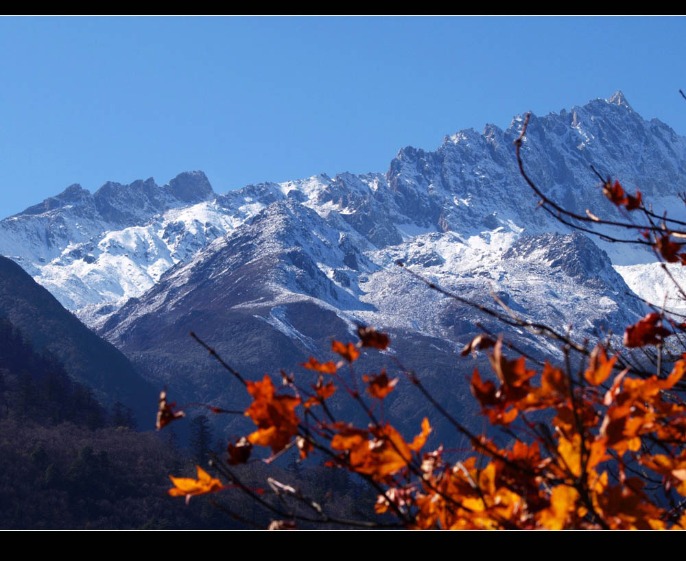 [ԭ��]ף���������ã�