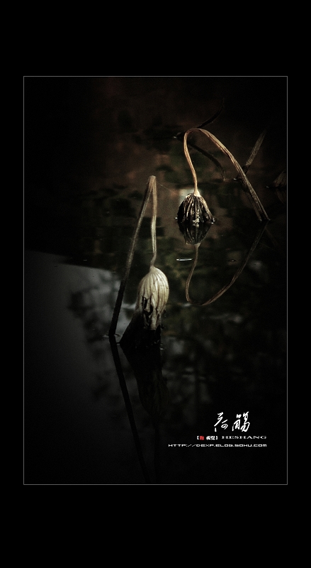 [ԭ��]���䡣��