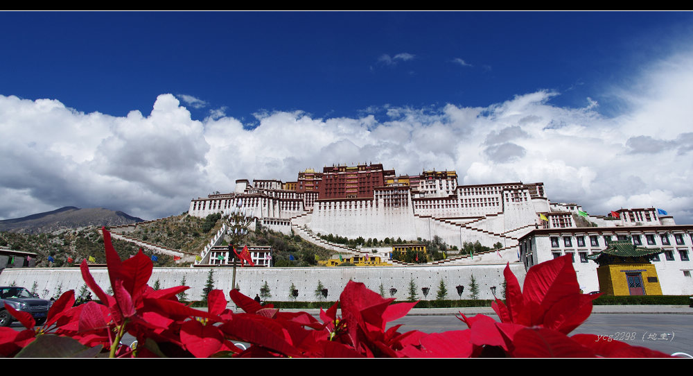 [ԭ��]һ�鲼������