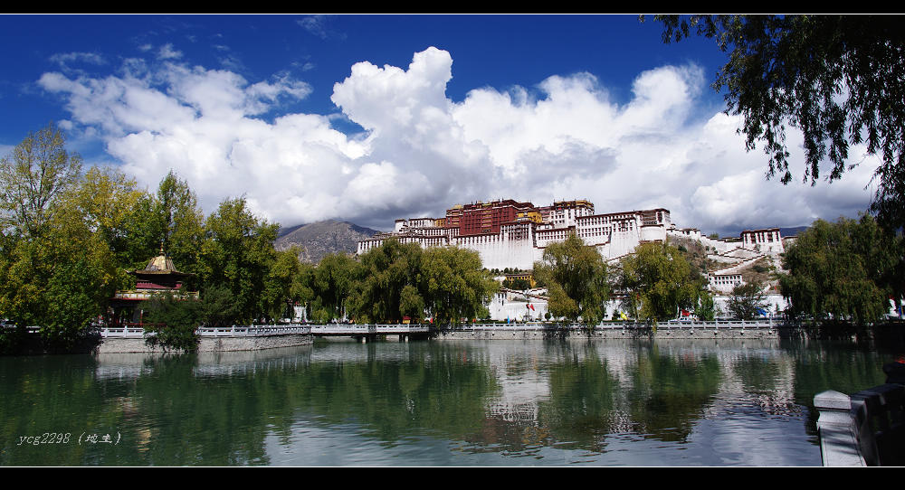 [ԭ��]һ�鲼������