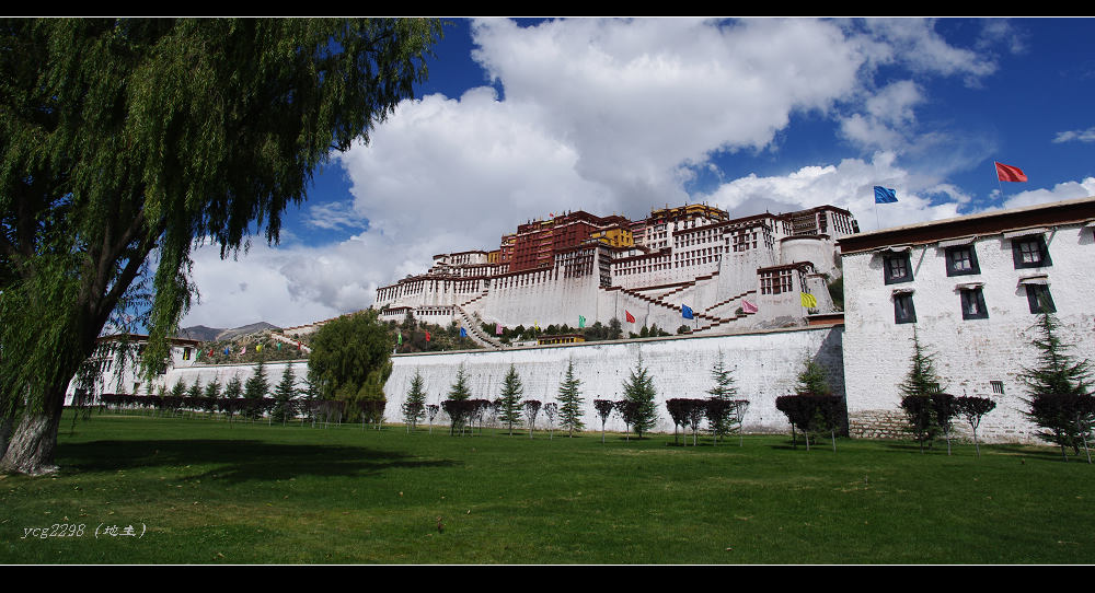 [ԭ��]һ�鲼������