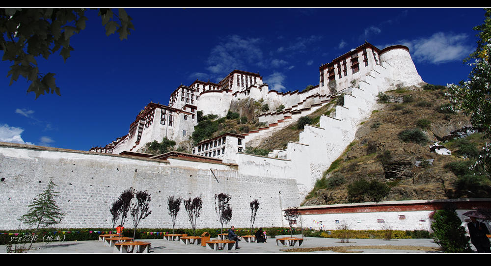 [ԭ��]һ�鲼������