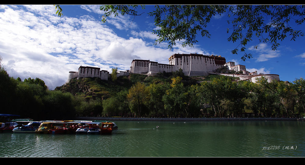 [ԭ��]һ�鲼������