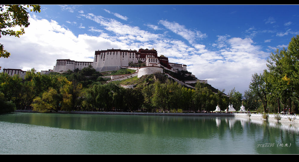 [ԭ��]һ�鲼������