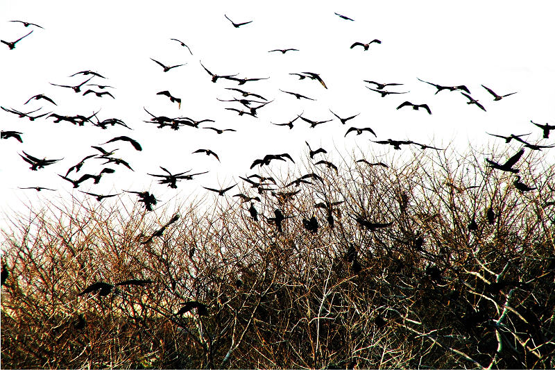 �����������ѧ�ٰ조������������Ӱչ