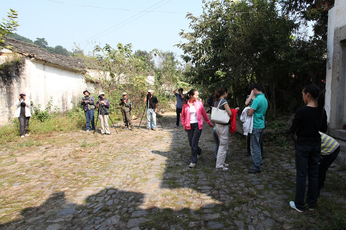 ̤�����ز���������زɷ��ʵ