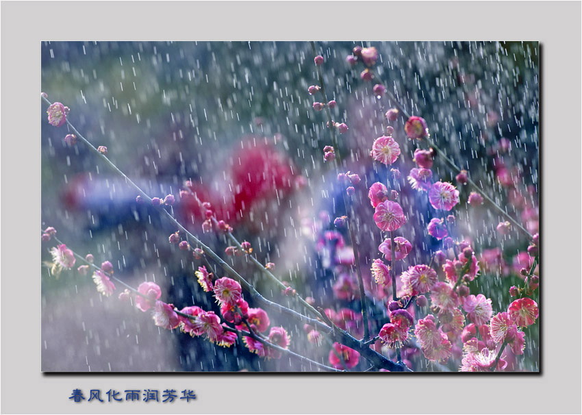 [����]2009����������ͼƬ��2��������Ʒ