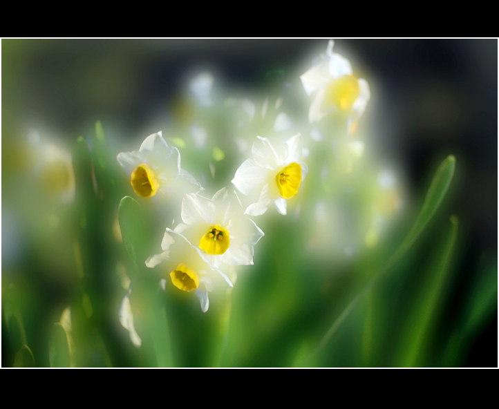 [����]2009����������ͼƬ��2��������Ʒ