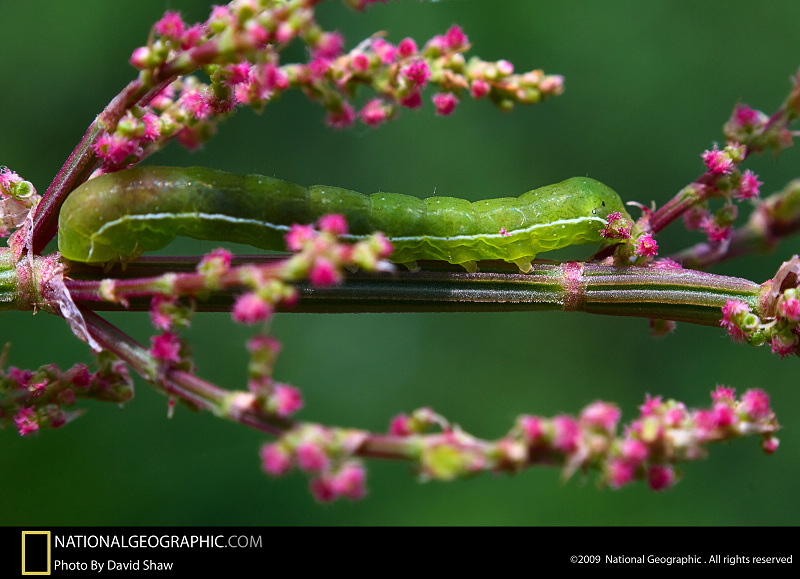 ����-�����΢������