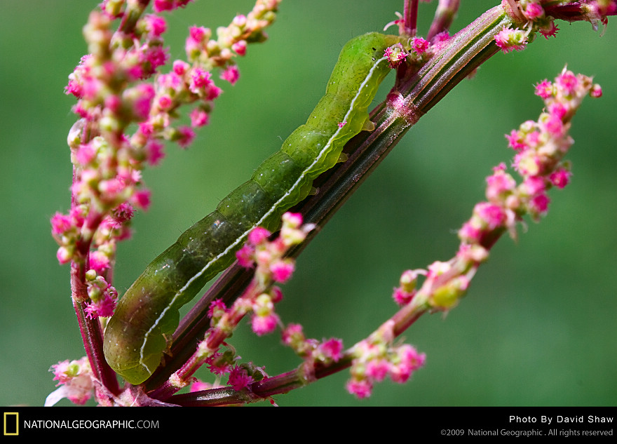 ����-�����΢������