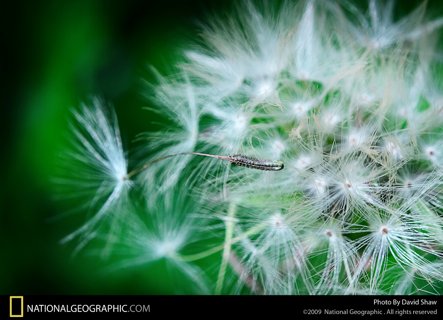 ����-�����΢������