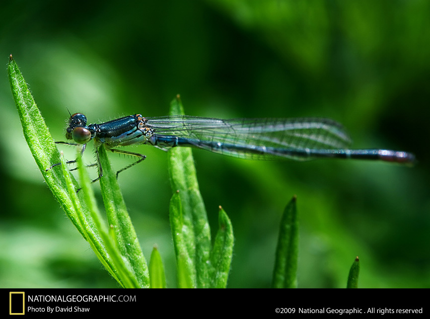 ����-�����΢������