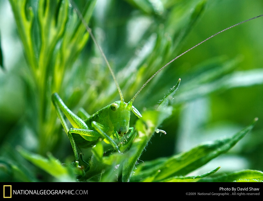 ����-�����΢������