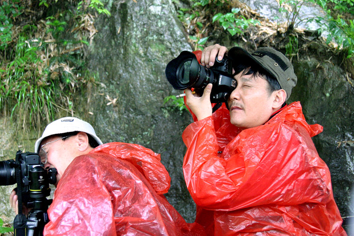 [ԭ��]����Ӱ����ɳ������Ŀɽ��������