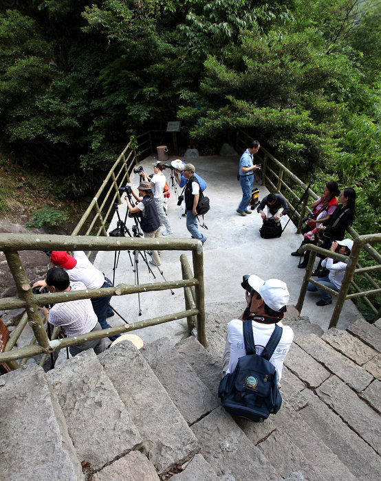 [ԭ��]����Ӱ����ɳ������Ŀɽ��������