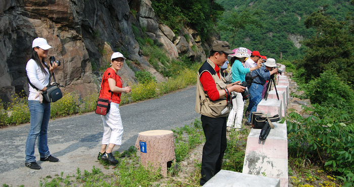 [ԭ��]����Ӱ����ɳ������Ŀɽ��������