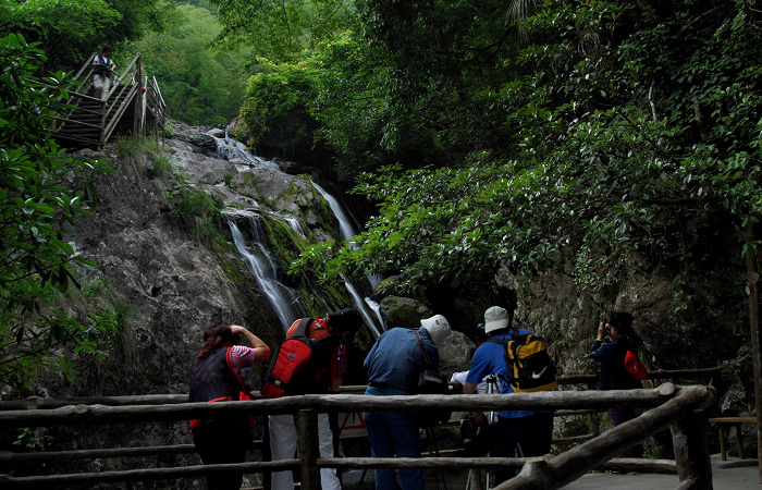 [ԭ��]����Ӱ����ɳ������Ŀɽ��������