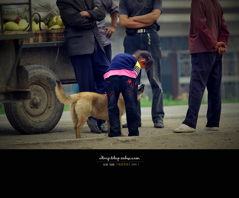 <font color=#E6BD1A>[ԭ��]����ϼ��ڡ�font>