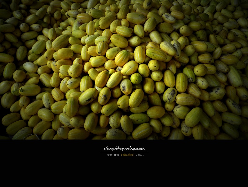 <font color=#E6BD1A>[ԭ��]����ϼ��ڡ�font>