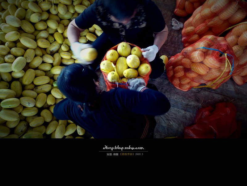 <font color=#E6BD1A>[ԭ��]����ϼ��ڡ�font>