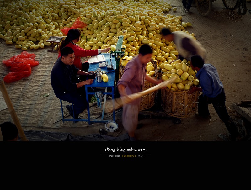 <font color=#E6BD1A>[ԭ��]����ϼ��ڡ�font>