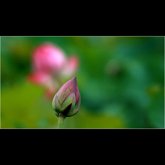 [������Ӱ]��