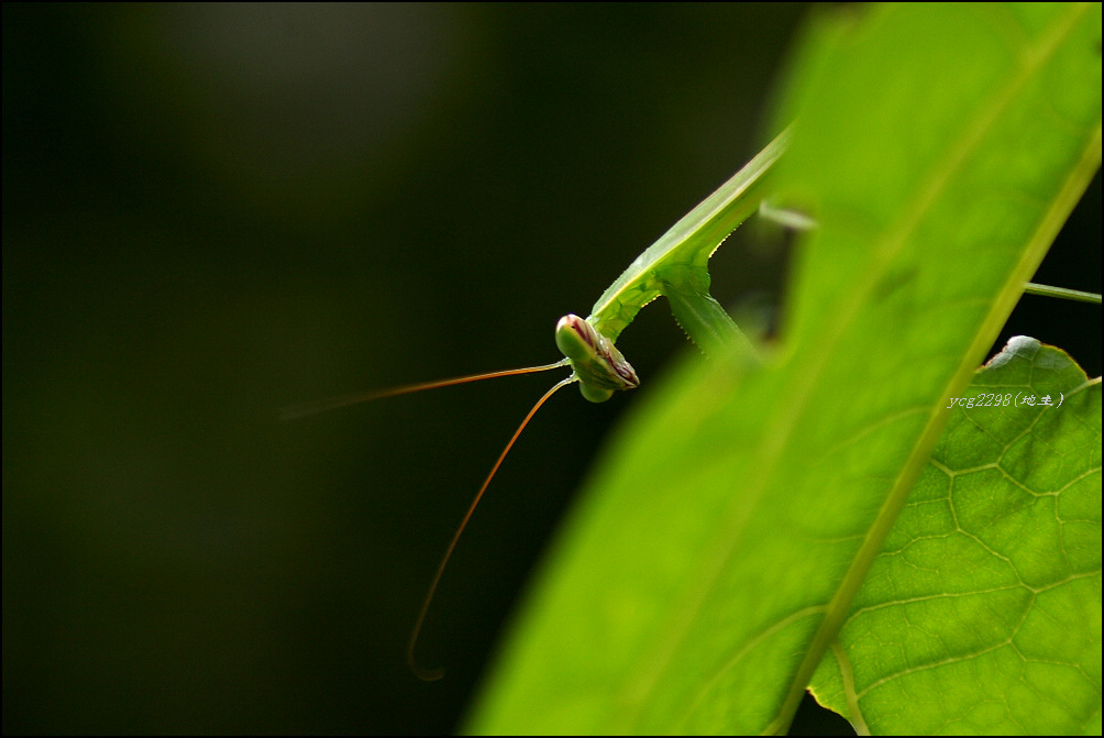 [ԭ��][ԭ��]������ˣ����루�����У�