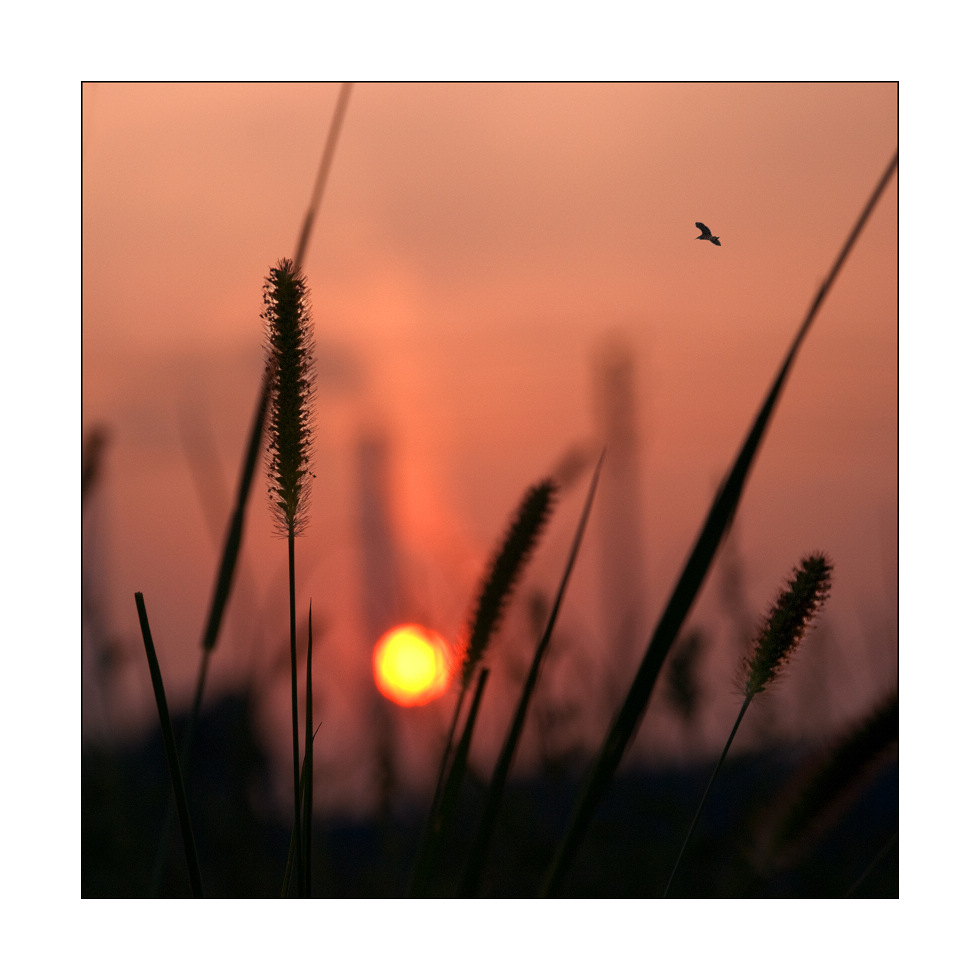 �����Ļ�